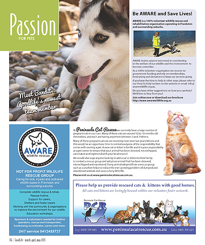 GoodLife: Peninsula Style - Page 114