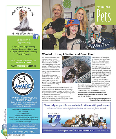 GoodLife: Peninsula Style - Page 98